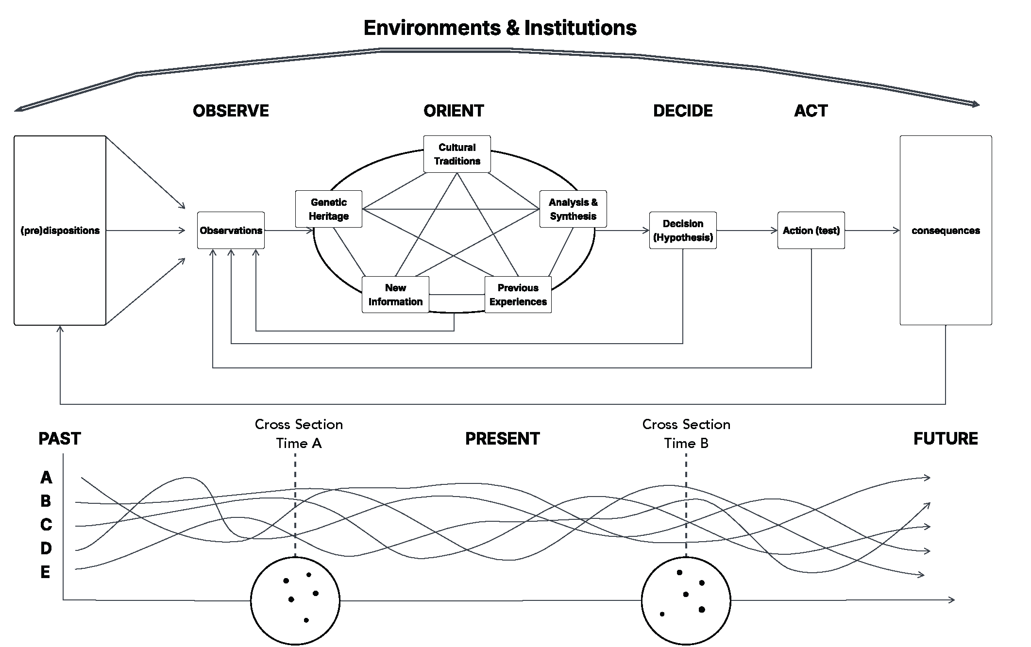 Temporal Divergence Between Institutional Decision Cycles and the Cognitive Ecosystem Temporal Divergence Between Institutional Decision Cycles and the Cognitive Ecosystem