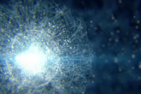 WMD Studies for NDU Students