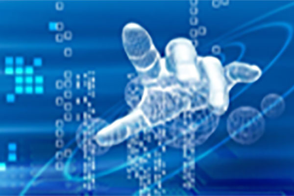 Program for Emerging Leaders